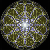 12 DnA Strand Heart Soul Star Matrix Imprint Woven Within Flower of Life Pattern
