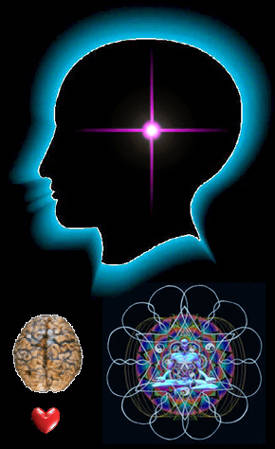 Heart-Brain-Mind-Soul Connection Revealed through the 12 DnA Strand Heart Soul Star