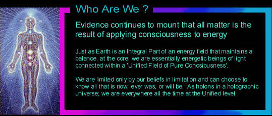 Who We Are - BioElectromagnetic Circuitry Revealed !
